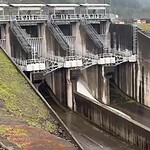 Yuvacık Barajı Yüzde 93 Doldu, Kapaklar Açıldı