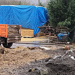 Gölcük’te Asar Deresi’ni Kirleten İşletmelere Ceza: Hayvansal Atık Döken 2 Çiftlik Yakalandı