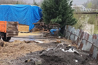 Gölcük’te Asar Deresi’ni Kirleten İşletmelere Ceza: Hayvansal Atık Döken 2 Çiftlik Yakalandı