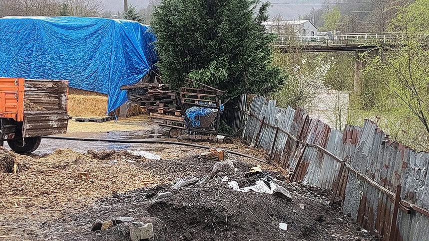 Gölcük’te Asar Deresi’ni Kirleten İşletmelere Ceza: Hayvansal Atık Döken 2 Çiftlik Yakalandı