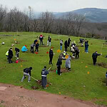 Engel Tanımayan Eller Toprakla Buluştu: Gonca Yaşam Merkezi Öğrencileri Sepetçiler’de Fidan Dikti!