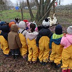 Orman Haftası’nda En Güzel Mesaj İzmitli Çocuklardan