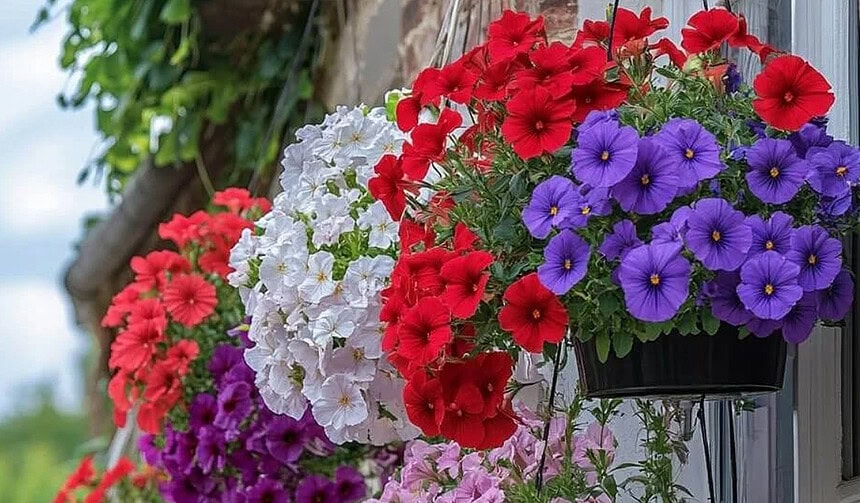 Nisan Ayında Hangi Çiçek Ekilir? En Popüler 10 Bahar Çiçeği