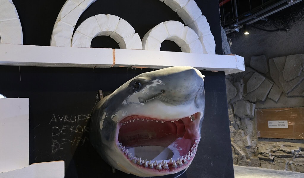 30 Farklı Akvaryum, 70 Çeşit Canlı! Kocaeli’de Su Altı Dünya Turu Başlıyor!