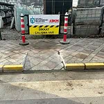 Kocaeli Büyükşehir Belediyesi Gölcük ve Başiskele Yeni Engelli Rampaları Nereye Yapıldı?