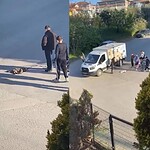 Gölcük'te Çocuklar Yaralı Kedinin Üzerini Örtüp, Başında Nöbet Tuttu