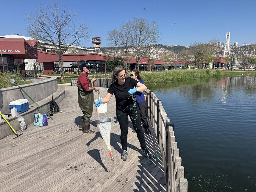 İzmit Millet Bahçesi’nde "Bilimsel" Seferberlik! Gölet Ekosistemi Akademik Takibe Alındı!