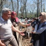 Kandıra Belediyesi’nden Büyük Aile Buluşması: Seyrek Mesire Alanı’nda Piknik Keyfi!