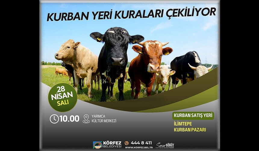 Körfez Belediyesi Kurban Pazarı Kura Çekimi Bugün Yapılıyor: İlimtepe İçin Yerler Belirleniyor!