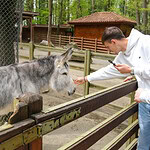 Sahada Rekabet, Doğada Kardeşlik: İskeçeli Genç Sporcular Kocaeli’ye Hayran Kaldı!