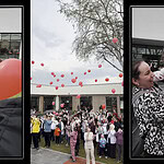 Kocaeli’de Otizm İçin Kırmızı Balonlar Uçuruldu