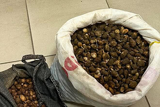 Nesli Tehlikedeki Çiçekleri Kopardı, Servetinden Oldu: 699 Bin 245 TL Ceza!