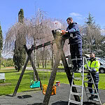 Kocaeli Sekapark Çocuk Oyun Alanları Yaza Hazırlanıyor: Bakım Çalışmaları Başladı