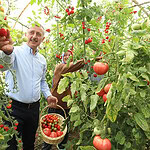 Kocaeli’de Çiftçiye Dev Destek: %75 Hibeli Fide Başvuruları Başladı!