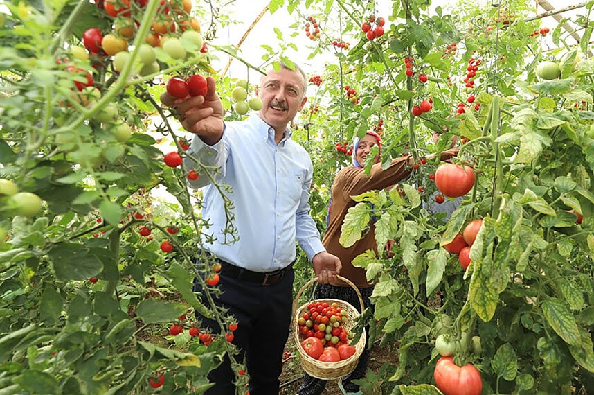 Kocaeli’de Çiftçiye Dev Destek: %75 Hibeli Fide Başvuruları Başladı!