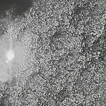 ABD Ordusu Uyuşturucu Operasyonu Düzenledi: Pasifik'te 4 Ölü