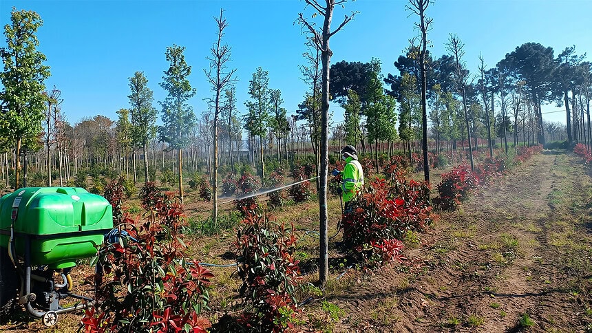 Bahar Geldi Seferberlik Başladı: Kocaeli'de Fidanlar Emin Ellerde