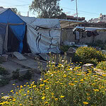 Saldırılardan Sonra Evini Kaybeden Gazzeli Aile Mezarlığa Sığındı