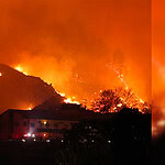 Japonya Orman Yangını: Iwate Eyaletinde Binlerce Kişiye Tahliye