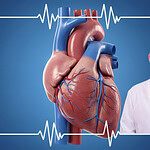 Kalp Hastalıkları Artık Gençleri de Vuruyor: Sessiz Tehlikeye Karşı Uzmanından Kritik Uyarılar!