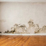 Evde Küf ve Rutubet Nasıl Önlenir? Nem Sorununa Son Veren 5 Kesin Çözüm!