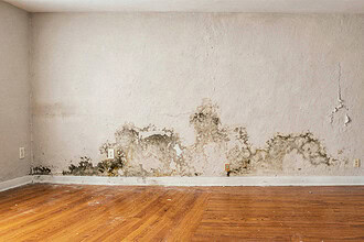 Evde Küf ve Rutubet Nasıl Önlenir? Nem Sorununa Son Veren 5 Kesin Çözüm!