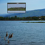 Sapanca Gölü'nde Gizemli Ada Tekrar Çıktı: Gizemli Adanın Altında Ne Yatıyor?