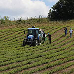 Kocaeli’de Zirai Don Alarmı! Valilik Tarih Vererek Uyardı: Perşembe Gecesine Dikkat