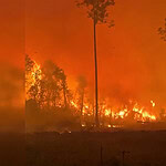 ABD Georgia’da Alevler Durdurulamıyor: 54 Ev Kül Oldu, 91 İlçede Acil Durum İlan Edildi!