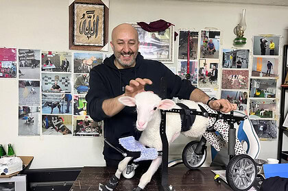 Dilovası’nda Bir Umut Atölyesi: 9 Yılda Bin Engelli Hayvanı Ayağa Kaldırdı!