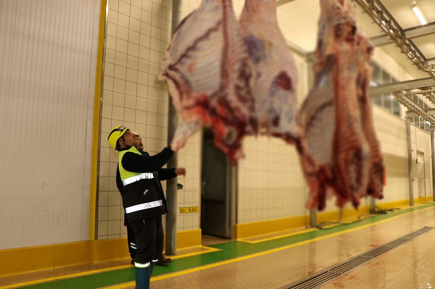 Kurban Kesenler Dikkat! "Kist Hidatik" Tehlikesine Karşı Derin Çukur ve Kireç Önlemi!