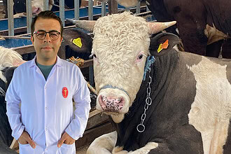 Kocaeli Veteriner Hekimleri Odası'ndan Kurban Uyarısı: Küpesiz ve Yaşı Küçük Hayvan Almayın!