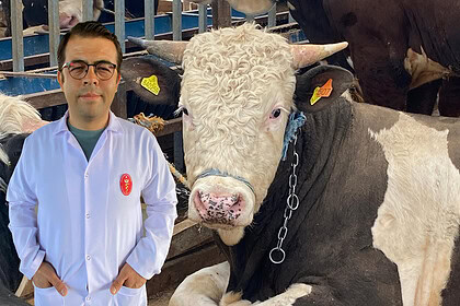 Kocaeli Veteriner Hekimleri Odası'ndan Kurban Uyarısı: Küpesiz ve Yaşı Küçük Hayvan Almayın!