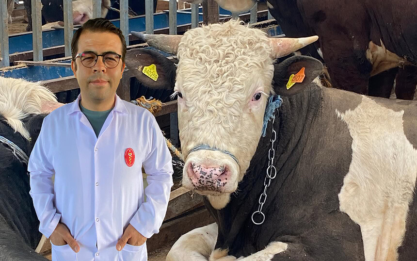 Kocaeli Veteriner Hekimleri Odası'ndan Kurban Uyarısı: Küpesiz ve Yaşı Küçük Hayvan Almayın!