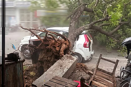 Hindistan'da Fırtına Felaketi: 111 Ölü, 72 Yaralı