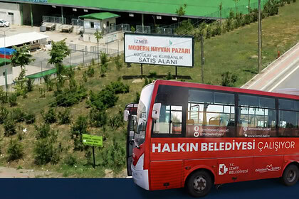 Modern Hayvan Pazarı'na Ücretsiz Ring: 6 Noktadan Sefer