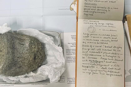 40 Yıl Çekmecede Kaldı: Antarktika'nın İlk Dinozoru Çıktı