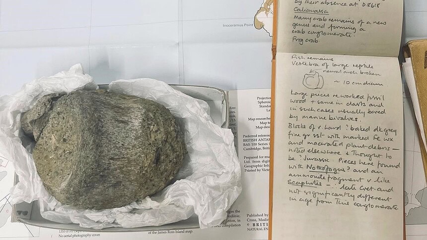 40 Yıl Çekmecede Kaldı: Antarktika'nın İlk Dinozoru Çıktı