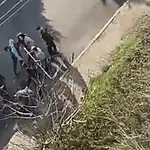 Gölcük'te Eski Eşini 15 Yerinden Bıçaklayan Sanık Tahliye Edildi
