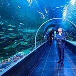 Kıtaların Su Altı Dünyası Kocaeli’de Buluştu