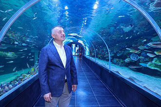 Körfez Aqua Kıtalar Akvaryumu Kapılarını Açıyor