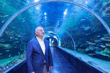 Körfez Aqua Kıtalar Akvaryumu Kapılarını Açıyor