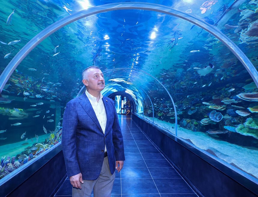 Körfez Aqua Kıtalar Akvaryumu Kapılarını Açıyor