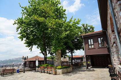 İzmit Tarihi Orhan Camii'nin 600 Yıllık Anıt Çınarı: 4 Kez Yıldırım Düştü, Yine de Yıllara Meydan Okuyor