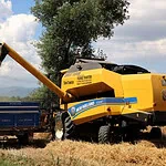 Kocaeli’de Tarım Altın Çağını Yaşıyor! Büyükşehir Destekli Arpa Hasadı Başladı: Maliyetler Yarı Yarıya Düştü!