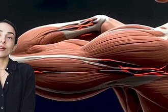 ABD'de Türk Bilim İnsanı Özgün Kılıç Afşar Liderliğindeki Ekip Robotikte Çığır Açtı! Yapay Kas Lifi Geliştirildi!