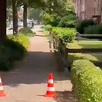 Almanya Stade'de Silahlı Saldırı: 5 Ölü, 1 Gözaltı