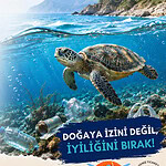 Karamürsel Mavi Kalacak: KARSAD Önünde Büyük Deniz Temizliği Seferberliği!