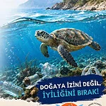 Karamürsel Mavi Kalacak: KARSAD Önünde Büyük Deniz Temizliği Seferberliği!