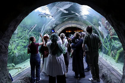 İzmit'te Körfez Aqua Açıldı: İki Saatte 2 Bini Aşkın Ziyaretçi